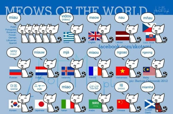 Chart of word for "meow" in many languages