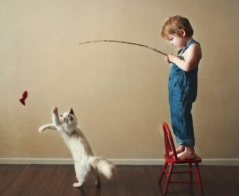 Boy on chair; playing with cat with wand; toy on end