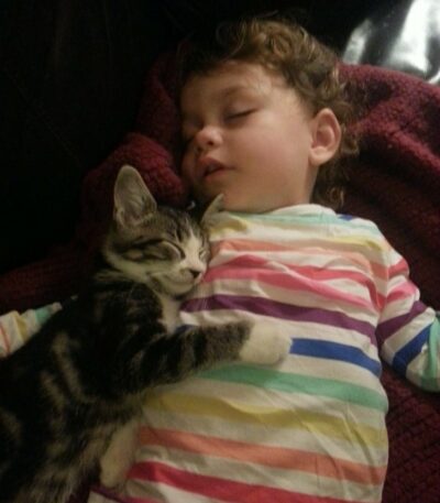young cat sleeping with child