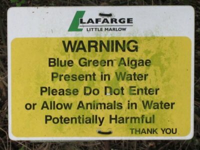 Blue Green Algae warning sign