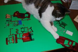 grey-striped and white cat on table, pushing object off