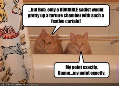 2 orange cats in a bathtub