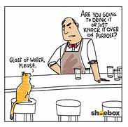 Bartender asks cat: Are you going to drink it or just knock it over on purpose?