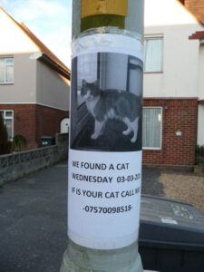 Sign on pillar about lost cat