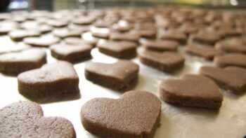 Heart-shaped homemade cat treats