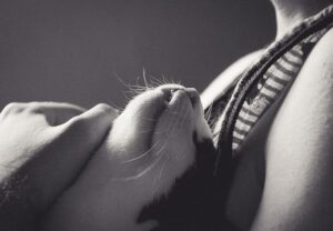 cat loving having its neck rubbed