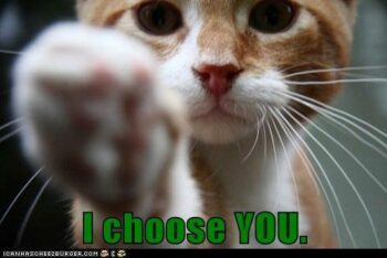 Cat holding out paw: "I choose you"