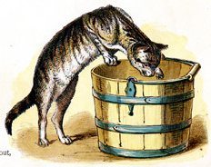 Drawing of cat reaching into bucket