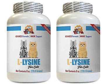Lysine for cats