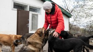 Asya Serpinska and shelter dogs