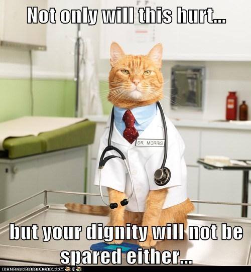 Cat in lab coat