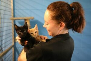 Woman holding black kitten and orange kitten