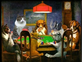 Cat and dogs around table playing poker