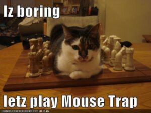 cat lying in middle of chess set