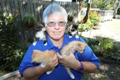 Woman holding three kittens