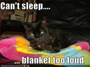 Black cat says blanket colors too loud