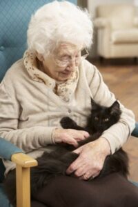 Elderly woman holding black cat