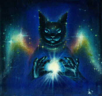 Black cat behind hands holding light