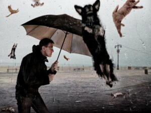 Man with unbrella; raining cats and dogs