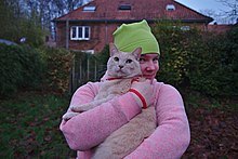 Cat being held