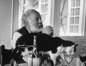 Hemingway and cat
