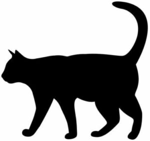 Silhouette: black cat walking