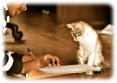 cat watching man writing