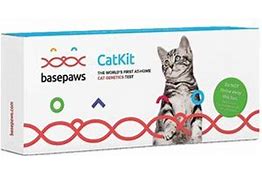Basepaws Cat DNA kit