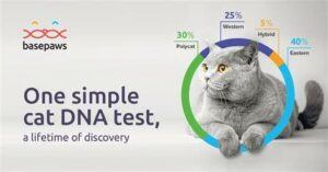 Basepaws Cat DNA kit