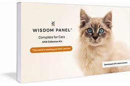 Wisdom Panel cat DNA test