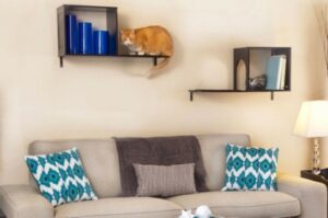 Orange cat on wall shelf