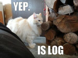 White cat sniffing log