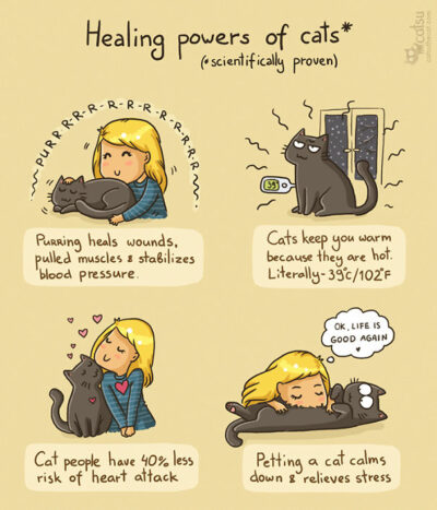 Healing powers of cats