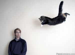 Cat jumping through air at man