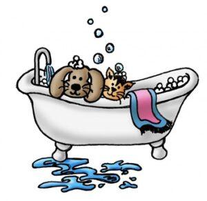 cartoon -- cat and dog in bathtub