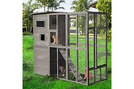 catio