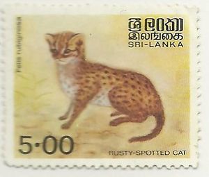 Sri Lanka postage stamp of rusty-spotted cat