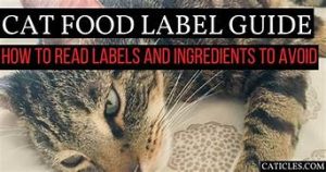 instructions for reading cat food label guide