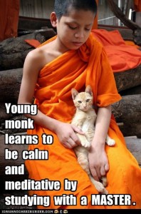 white cat on young monk's lap
