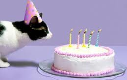 Tuxedo cat with hat blowing out candles