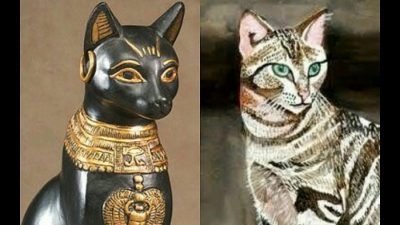 Egyptian cat, statue and real