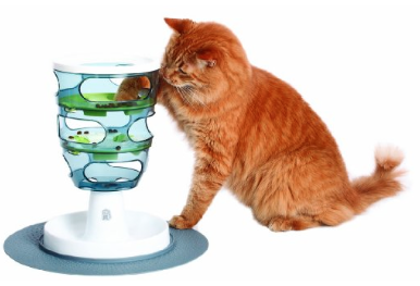 Cat with puzzle feeder