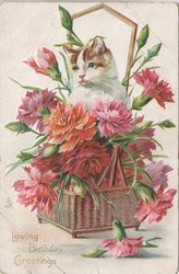 Card of cat in basket of flowers