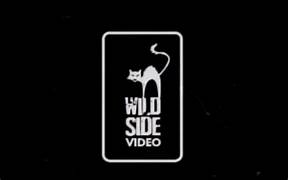 Wild Side Video image