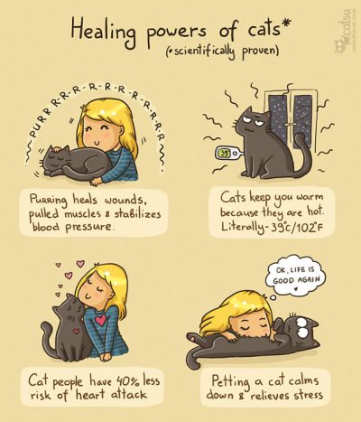 poster showing healing power of cats