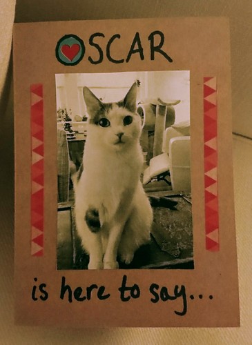 Poster of oscar the cat