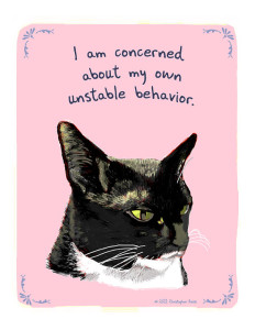 Black & white cat sharing behavior concerns