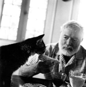 Hemingway with one of his cats