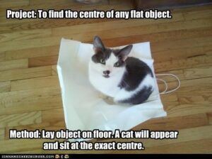 Cat finding center of an object