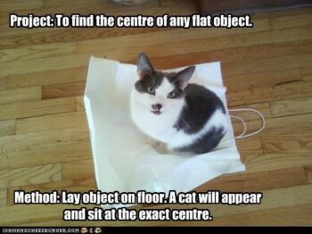 Cat finding center of an object